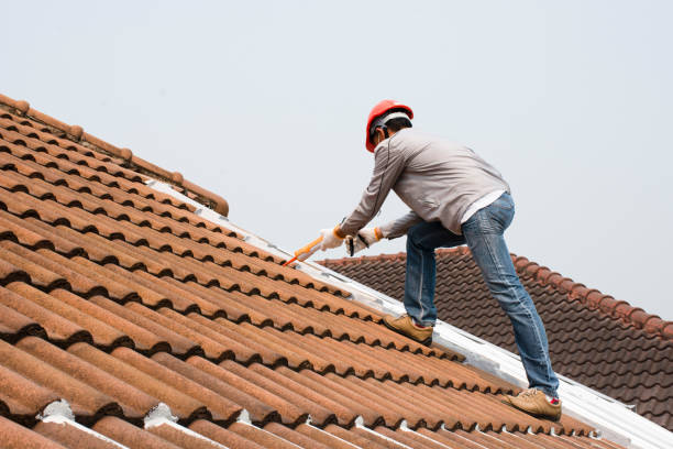 Best Asphalt Shingles Roofing  in Mount Plymouth, FL